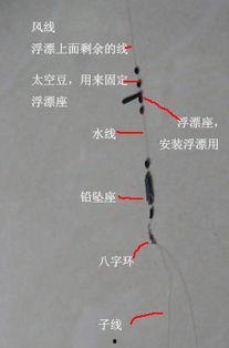 鱼线组装视频