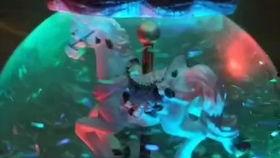 甩笔视频,揭秘甩笔视频背后的技巧与魅力