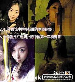 兽兽不雅视频,揭秘娱乐圈的道德沦丧与网络暴力的双重阴影