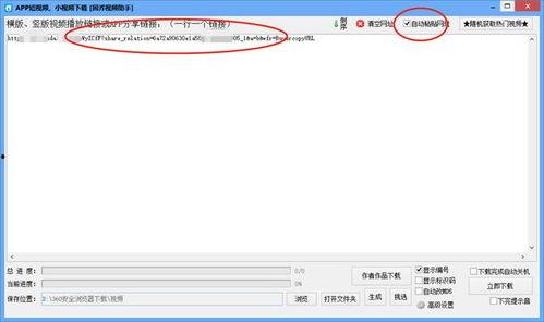 视频链接下载,[视频标题]