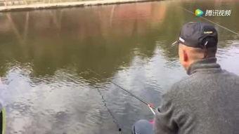 钓鱼上鱼视频,揭秘钓鱼上鱼精彩瞬间