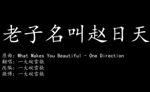 老子名叫赵日天视频,揭秘老子神秘身份背后的传奇故事