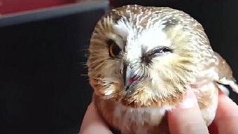 轩宝妈的编织小屋视频,温馨手工时光，感受传统技艺魅力