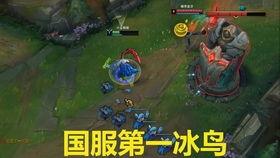 佐伊教学视频,轻松掌握高效学习技巧