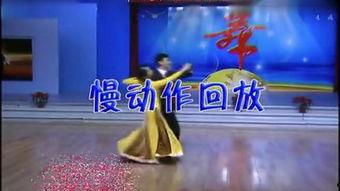 北京平四交谊舞视频,舞动京城，浪漫传承