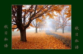 秋日私语视频教学,跟随视频探索秋季之美