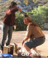 美国养蜂视频,揭秘蜜蜂生活与蜂农智慧