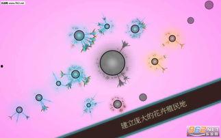 真菌世界视频,视频揭秘真菌生态与多样性