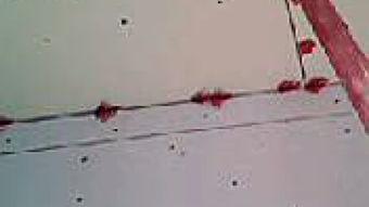 淹死人视频,还原溺水瞬间，警示生命安全