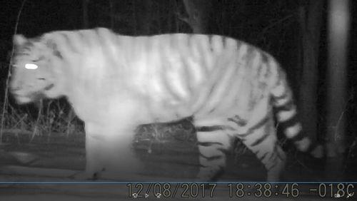 四虎视频在线播放,畅享在线影视盛宴