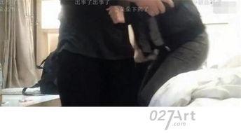 3p在线视频,揭秘网络短视频的无限魅力与挑战