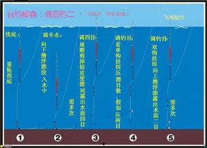 台钓怎样调漂视频,轻松掌握精准钓鱼法